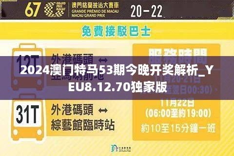 2025-2024全年澳门今晚开特马开什么-移动解释解析落实