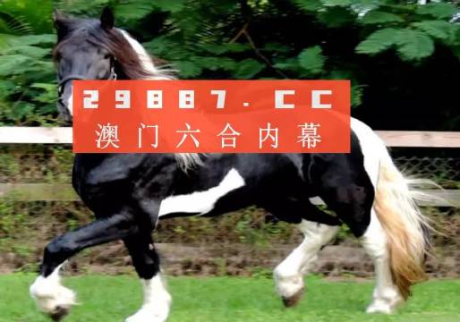 澳门与香港一肖一码一一特一中厂i,精选解释解析落实