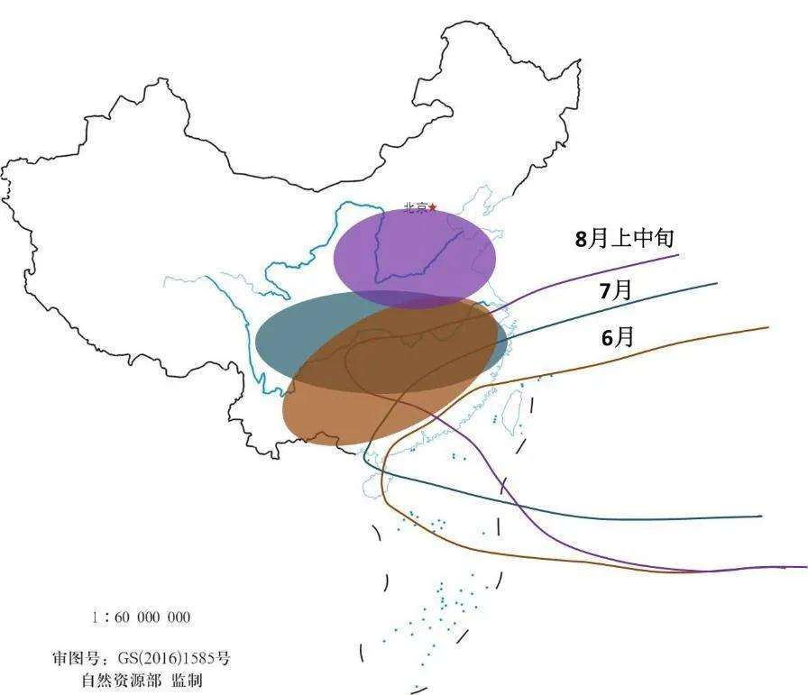 本月月经异常减少的原因分析