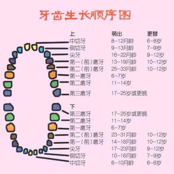 宝宝长牙的时间及其相关因素解析