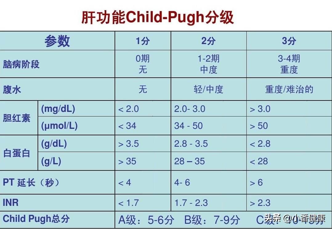 十个月婴儿可以吃盐吗？关于婴儿饮食中的盐摄入量探讨